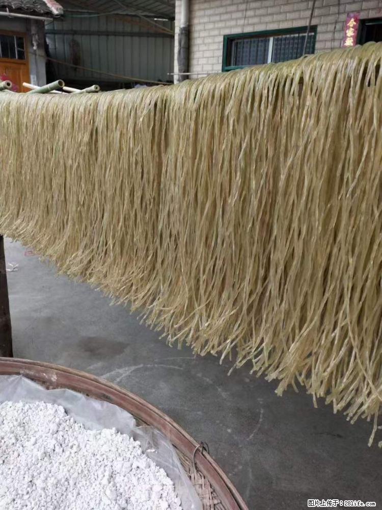 【灌阳正宗红薯粉】美女家里自己做的，干净卫生，假一赔十，价格合理，抢购电话：13737312895 - 美食天地 - 蚌埠生活社区 - 蚌埠28生活网 bengbu.28life.net