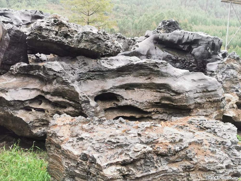 风景石、假山石大量有货，有需要的欢迎联系 - 新手上路 - 蚌埠生活社区 - 蚌埠28生活网 bengbu.28life.net