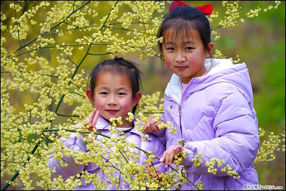 【春天，广西桂林灌阳县向您发出邀请！】米珠山前有片山苍子花在飘香 - 游山玩水 - 蚌埠生活社区 - 蚌埠28生活网 bengbu.28life.net