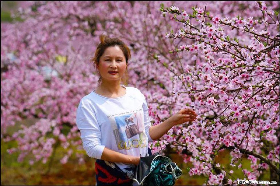 【春天，广西桂林灌阳县向您发出邀请！】官庄村有个醉美的桃花园 - 游山玩水 - 蚌埠生活社区 - 蚌埠28生活网 bengbu.28life.net