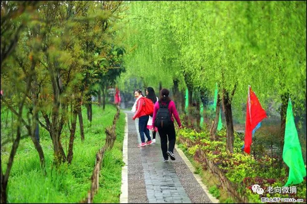【春天，广西桂林灌阳县向您发出邀请！】江口老街又逢春 - 游山玩水 - 蚌埠生活社区 - 蚌埠28生活网 bengbu.28life.net