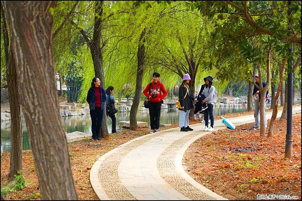 【春天，广西桂林灌阳县向您发出邀请！】江口老街又逢春 - 游山玩水 - 蚌埠生活社区 - 蚌埠28生活网 bengbu.28life.net