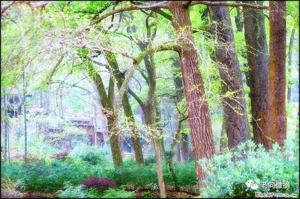 【春天，广西桂林灌阳县向您发出邀请！】在小龙村与春天约会 - 游山玩水 - 蚌埠生活社区 - 蚌埠28生活网 bengbu.28life.net