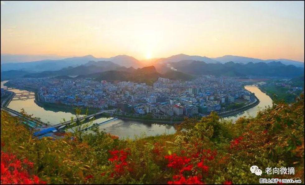 【春天，广西桂林灌阳县向您发出邀请！】登麒麟山，相约映山红 - 游山玩水 - 蚌埠生活社区 - 蚌埠28生活网 bengbu.28life.net