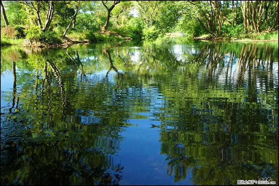 【春天，广西桂林灌阳县向您发出邀请！】熊家寨湿地公园 - 游山玩水 - 蚌埠生活社区 - 蚌埠28生活网 bengbu.28life.net