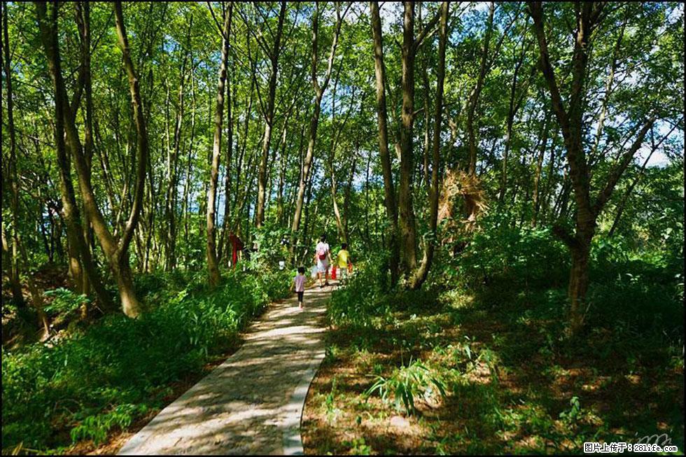 【春天，广西桂林灌阳县向您发出邀请！】熊家寨湿地公园 - 游山玩水 - 蚌埠生活社区 - 蚌埠28生活网 bengbu.28life.net