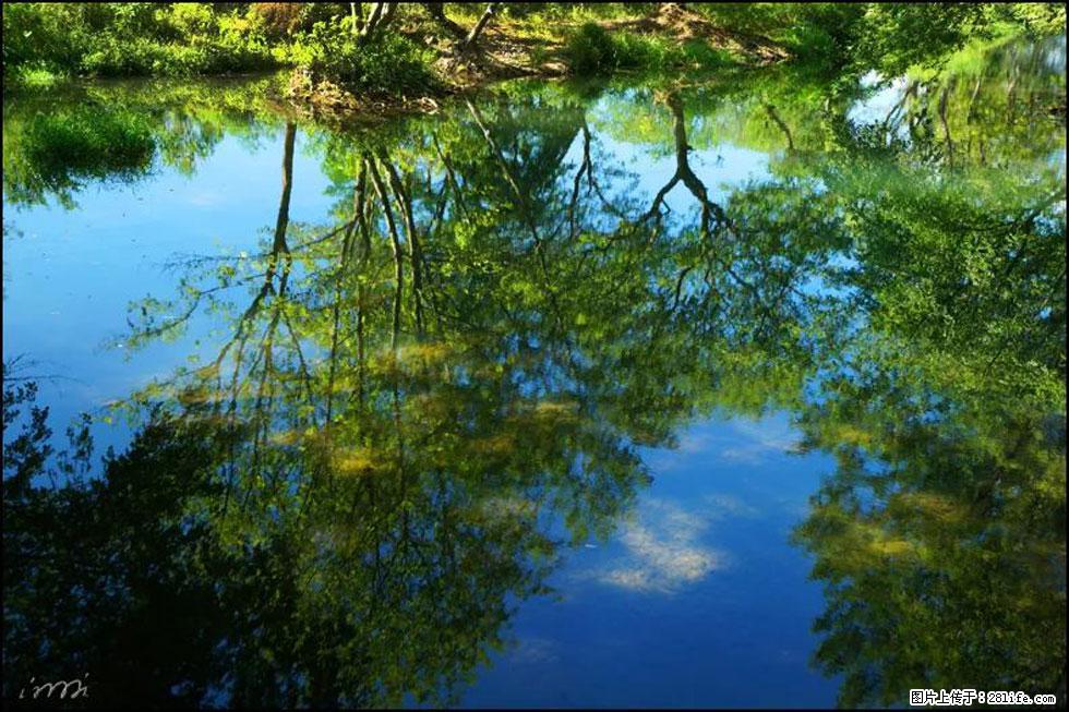 【春天，广西桂林灌阳县向您发出邀请！】熊家寨湿地公园 - 游山玩水 - 蚌埠生活社区 - 蚌埠28生活网 bengbu.28life.net