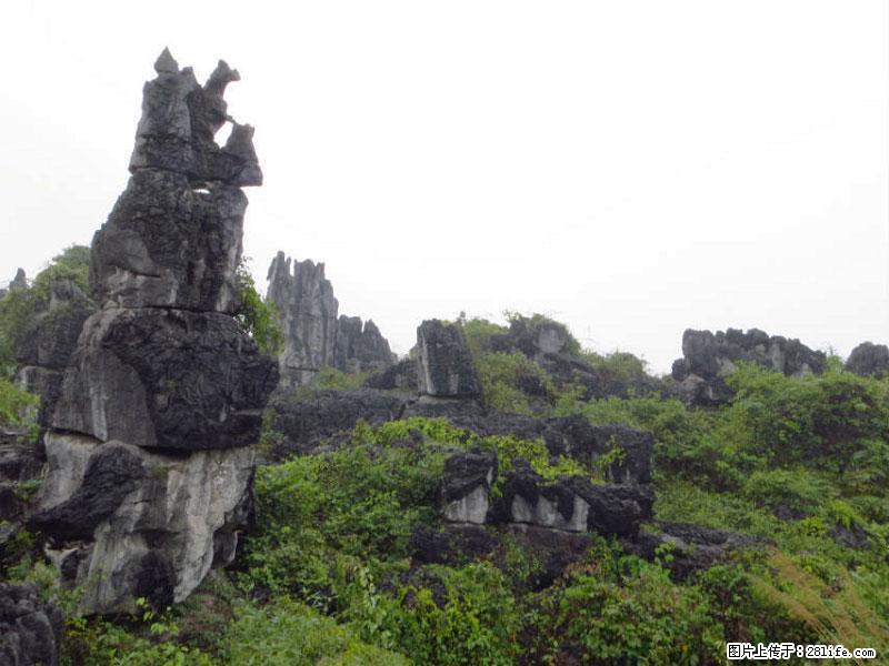 桂林旅游名城景点：灌阳文市石林 - 游山玩水 - 蚌埠生活社区 - 蚌埠28生活网 bengbu.28life.net