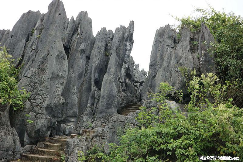桂林旅游名城景点：灌阳文市石林 - 游山玩水 - 蚌埠生活社区 - 蚌埠28生活网 bengbu.28life.net