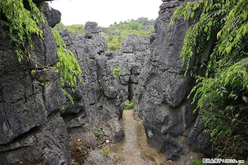 桂林旅游名城景点：灌阳文市石林 - 游山玩水 - 蚌埠生活社区 - 蚌埠28生活网 bengbu.28life.net
