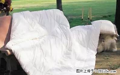 被子有异味？只要这样做，比晒太阳还强100倍！ - 家居生活 - 蚌埠生活社区 - 蚌埠28生活网 bengbu.28life.net