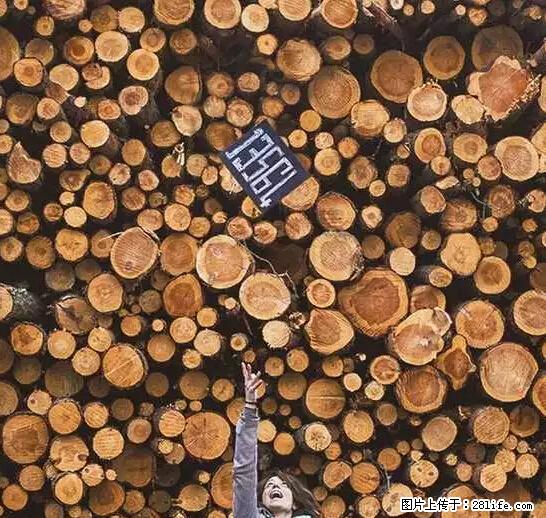 辞掉工作周游世界？现在他们在洗厕所…… - 游山玩水 - 蚌埠生活社区 - 蚌埠28生活网 bengbu.28life.net