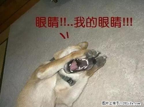 笑癫了！一女的怀孕三年未生，他终于忍不住了... - 娱乐八卦 - 蚌埠生活社区 - 蚌埠28生活网 bengbu.28life.net