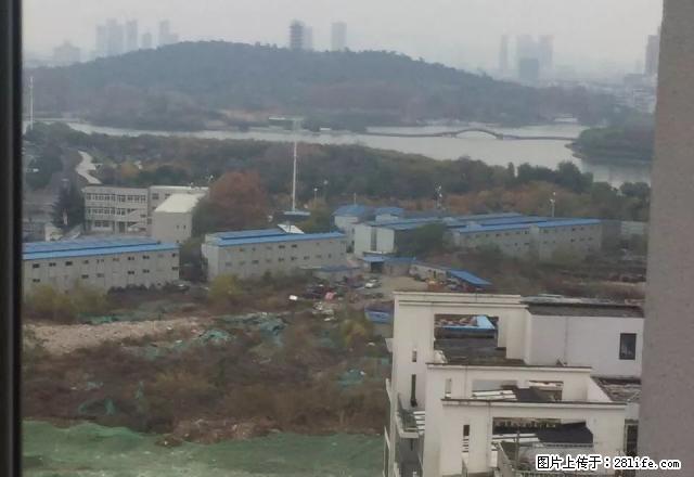 (出租)清大德人 150平米办公房 可观张公湖 凤水好 - 房屋出租 - 房屋租售 - 蚌埠分类信息 - 蚌埠28生活网 bengbu.28life.net