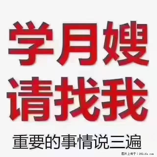 【招聘】月嫂，上海徐汇区 - 职场交流 - 蚌埠生活社区 - 蚌埠28生活网 bengbu.28life.net
