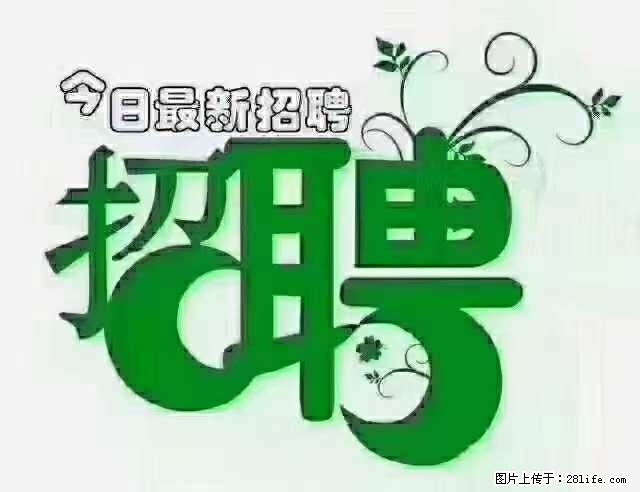 上海青浦区招仓管 - 职场交流 - 蚌埠生活社区 - 蚌埠28生活网 bengbu.28life.net