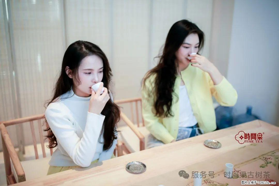 时间果百年古树龙珠普洱生茶 - 购物交流 - 蚌埠生活社区 - 蚌埠28生活网 bengbu.28life.net