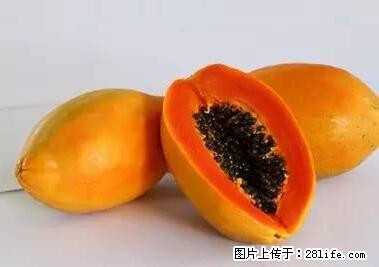 晕车、脚气、牙齿变黄、皮肤粗糙？学会这些三分钟搞定！ - 蚌埠生活资讯 - 蚌埠28生活网 bengbu.28life.net