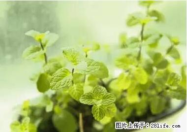 晕车、脚气、牙齿变黄、皮肤粗糙？学会这些三分钟搞定！ - 蚌埠生活资讯 - 蚌埠28生活网 bengbu.28life.net