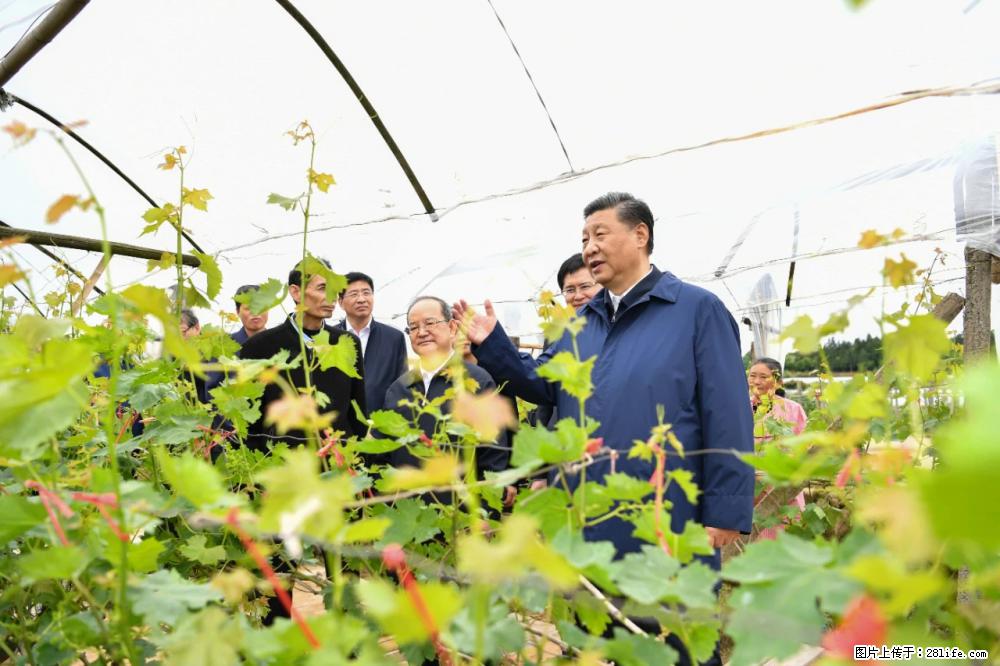 习近平赴广西考察调研 - 蚌埠生活资讯 - 蚌埠28生活网 bengbu.28life.net
