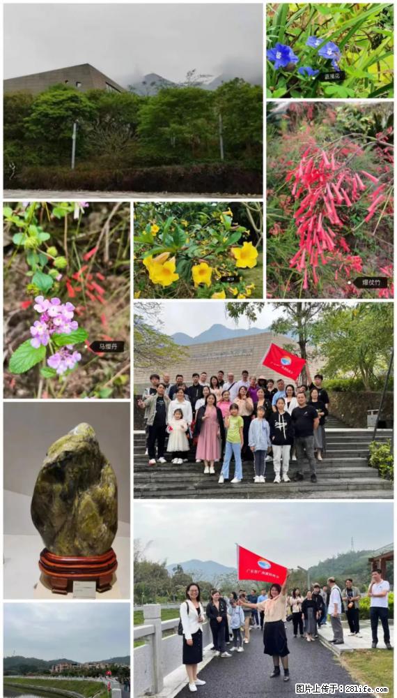 “粤灌文化 美好生活”油茶文化主题活动在广东深圳成功举办 - 蚌埠生活资讯 - 蚌埠28生活网 bengbu.28life.net