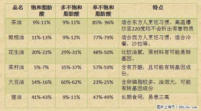 揭秘茶油的5大核心营养成分！被称为人体健康的“守护盾”！ - 蚌埠生活资讯 - 蚌埠28生活网 bengbu.28life.net