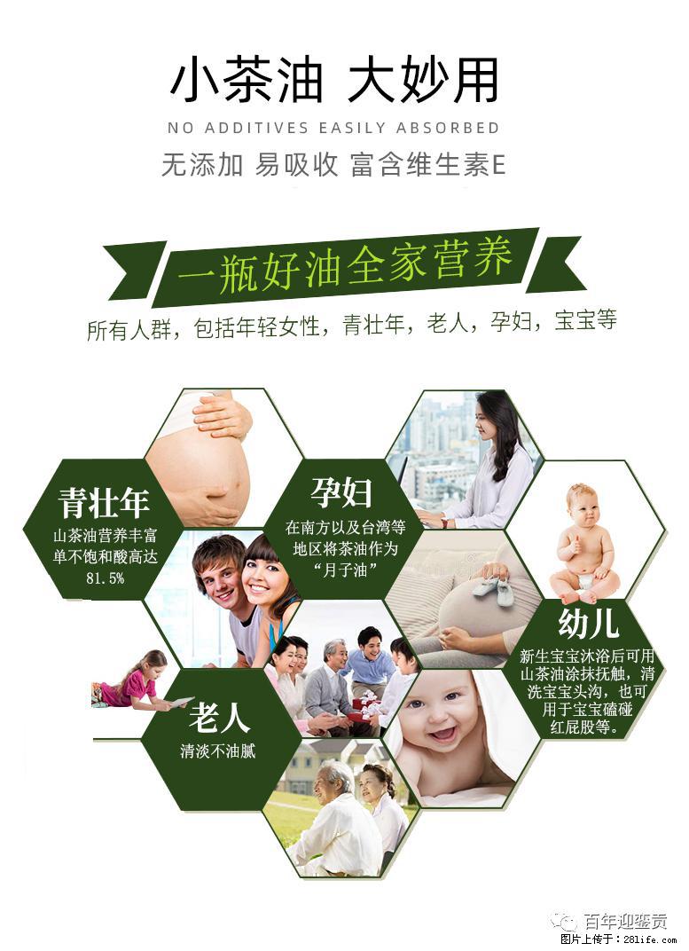 世界没有真相，只有认知，最好的食用油是中国的山茶油！ - 蚌埠生活资讯 - 蚌埠28生活网 bengbu.28life.net