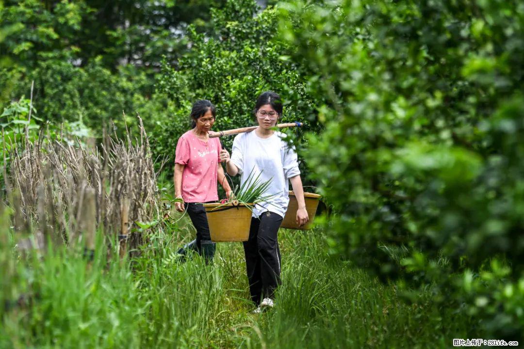 全网追的“扁担女孩”，找了一份暑假工，时薪12元 - 蚌埠生活资讯 - 蚌埠28生活网 bengbu.28life.net