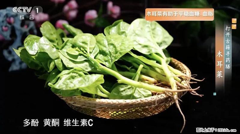 比牛奶补钙还厉害！凉血解毒、稳血糖...这菜冬天必吃，很多人却当草 - 蚌埠生活资讯 - 蚌埠28生活网 bengbu.28life.net
