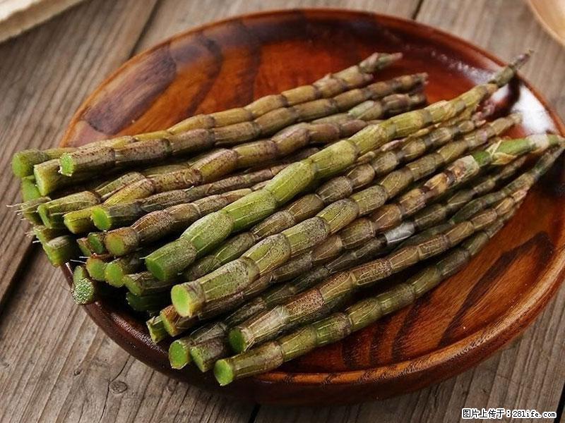 铁皮石斛的作用与功能主治 - 蚌埠生活资讯 - 蚌埠28生活网 bengbu.28life.net