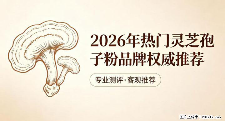 灵芝孢子粉含量越高越有效？2026 年七款热门品牌深度实测，肠胃敏感者避坑指南 - 蚌埠生活资讯 - 蚌埠28生活网 bengbu.28life.net